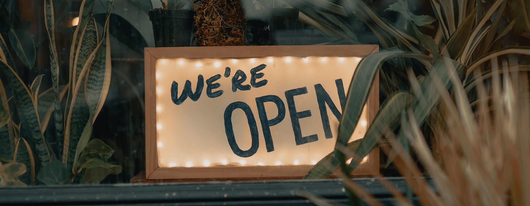 "We're Open" sign surrounded by foliage